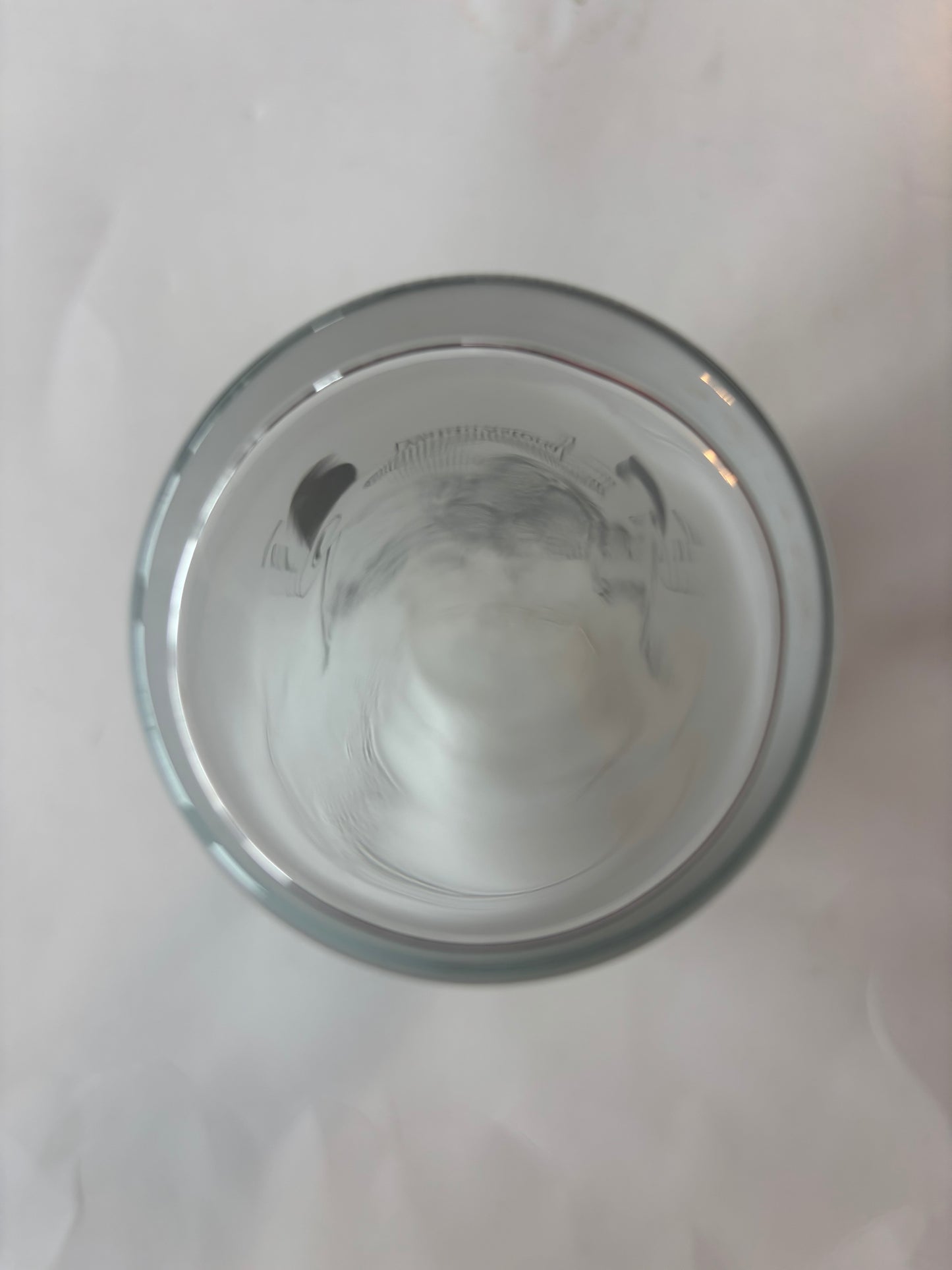 Vintage Waldo Astoria High Ball Glass